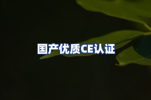 国产优质CE认证